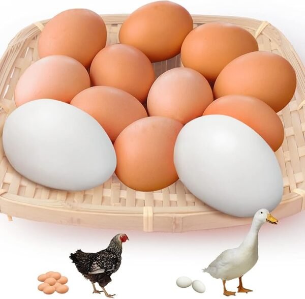 12 huevos de madera falsos y 2 de ganso, realistas para gallinas, manualidades y decoración