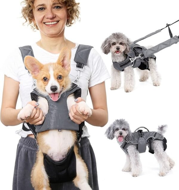 Mochila transportadora para perros, multiusos, piernas afuera, para viajes y senderismo
